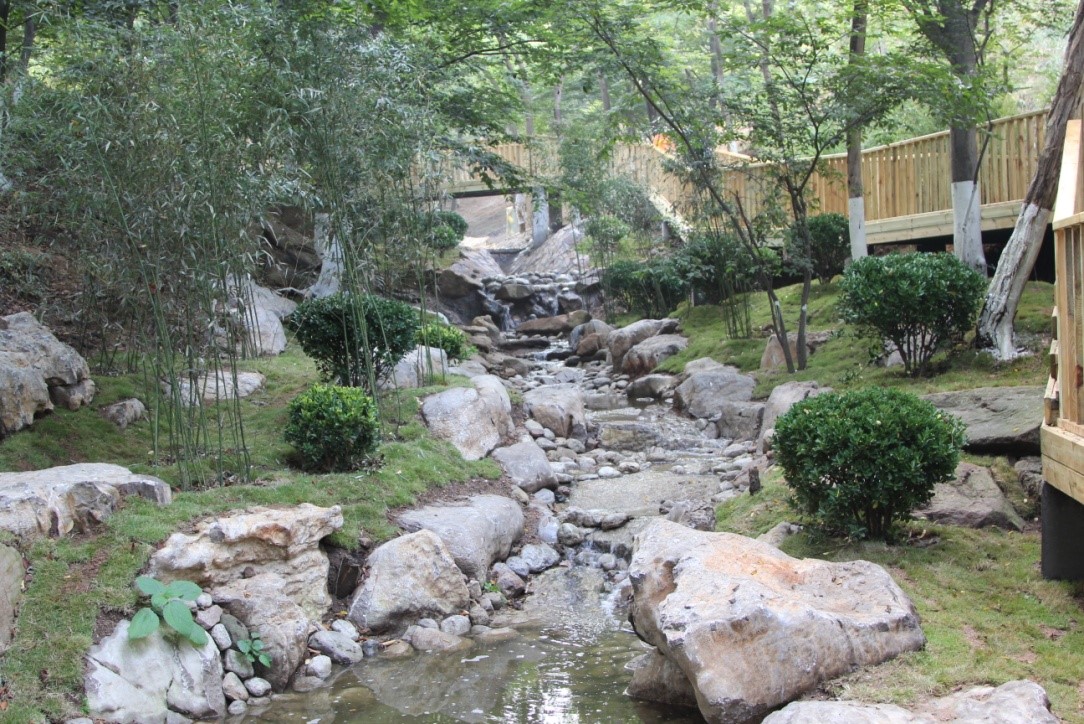 榉林山公园绿化刷新后现场一景