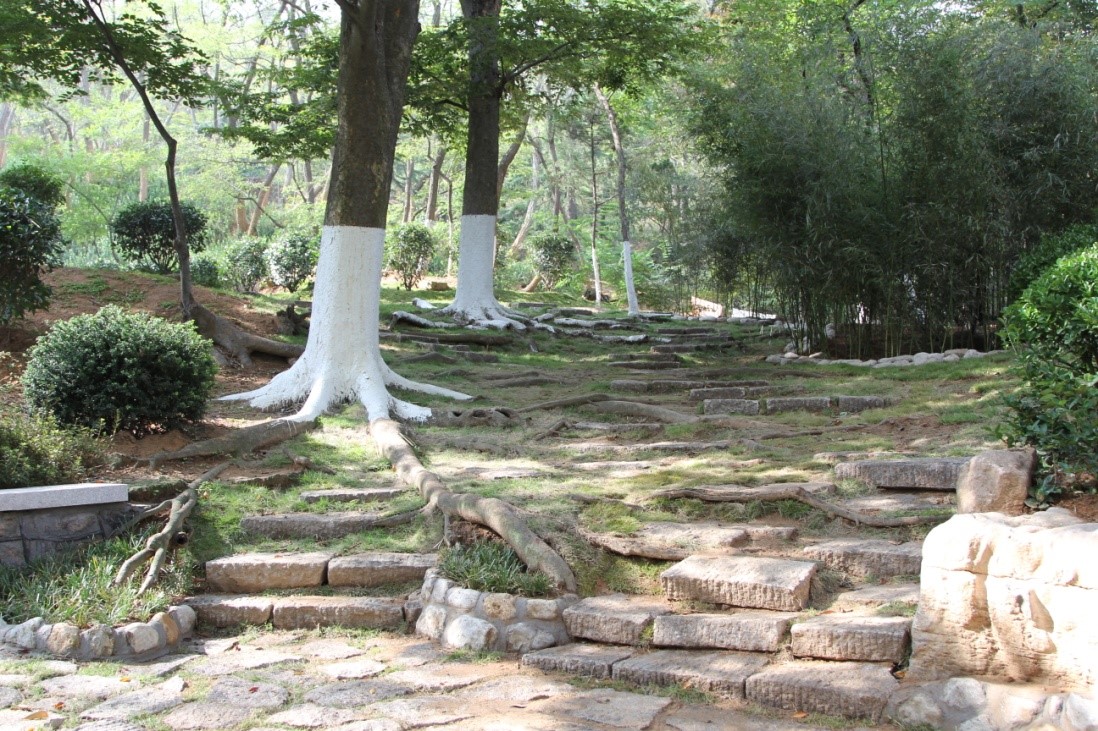 榉林山公园绿化刷新后现场一景