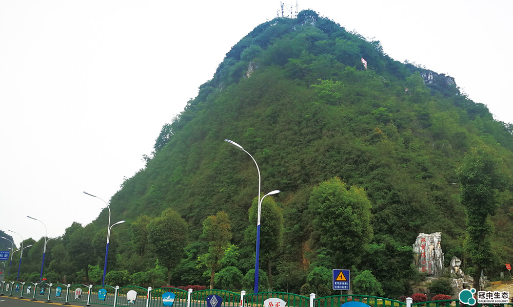 安顺山体修复