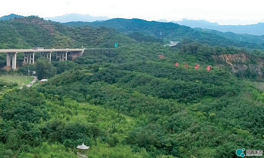 ŷƽ̨